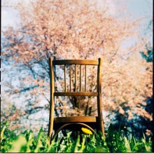 Lehrstuhl und Summen Tree! / ______