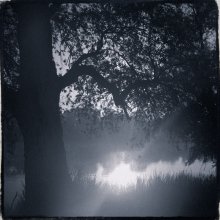 About the sun in the river / ***