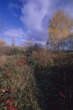 Autumn etude / ***