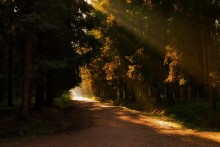 Spiel von Licht / ***