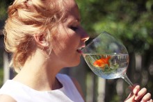 goldfish / ***
