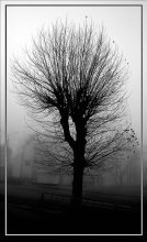 Loneliness / ***