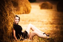 Field / ***