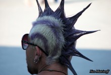 Punk (die Punk) / ***