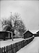Embraced by Winter / Embraced by Winter