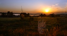 spider webs and fog in August ... / ***