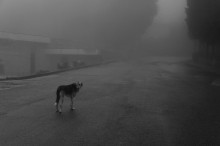 Loneliness / ***