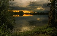 morning in the backwater / *****