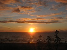 evening / ***