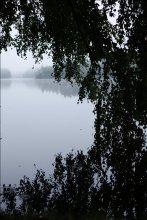 Foggy morning / 27.08.11.