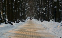 In the park / ***
