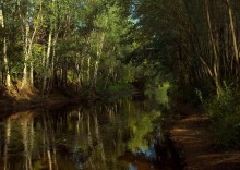Flowing stream ... Yauza. / http://www.youtube.com/watch?v=ji-M_eGEY1U