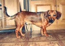 Baby / )))))