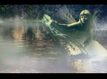 nymph / ***