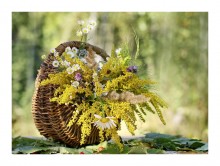 Verlassen Sommer Bouquet / ... ........ ....