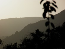 &nbsp; / ***********