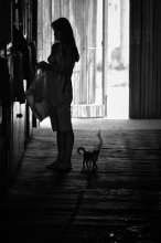 the stable / ***