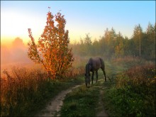 Herbstfarben / *****