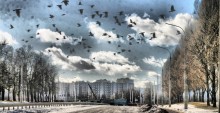 City / ***
