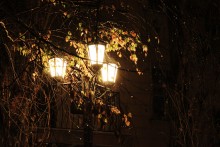 autumn night / .....