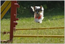 All such air / ***
