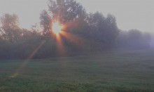 Rays of Dawn / ***