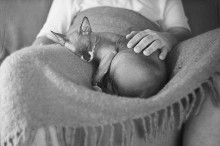 Sweet dreams / .....