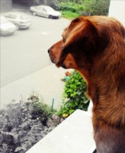 Baby / ....))