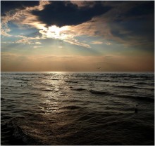 If gull sat in the water - wait for good weather! / ***