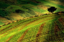 on the edge / ***
