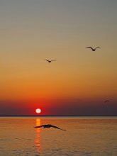 Im Morgengrauen (2) / *****