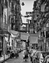NAPLES CITY CONTRASTS / ***
