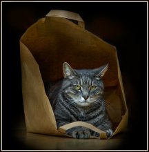 King of packaging .... / ***