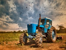 Agriculture / ***