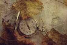tick - so .... / .... ..... .........