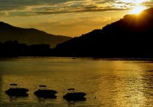 Evening for three / ...............