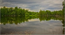 Reflection / ***