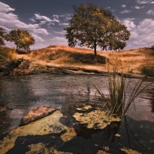 Fluss Sketches / ***