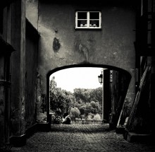 Warsaw streets / ***