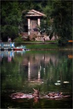 There is the Count's park black pond / ***