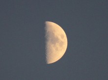 Moon / ***