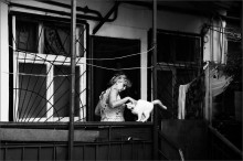 cat's life / ***