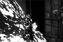 Phantasmagoria / ***