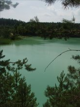 el lago / ***