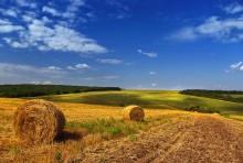 Already collected from the fields of grain ... / ***