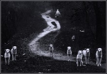 They are not alone, unlike you / ***