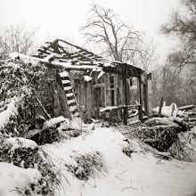 Winter 2004 / ***