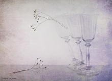 impermanence / ...............................