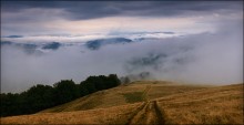 The view from the ridge Svidovetskogo / ***