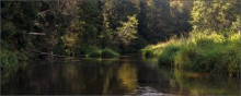 Haryuzovymi trails / *****